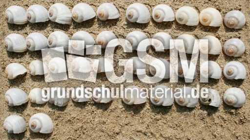 Schneckenhäuser-42.jpg